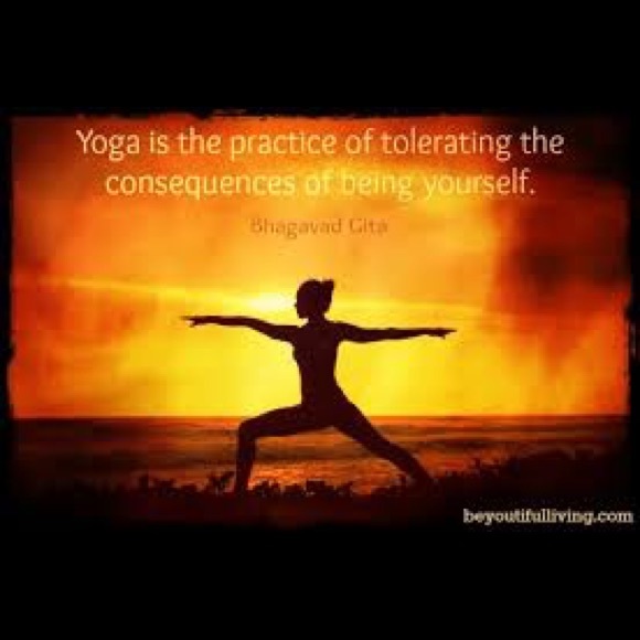 Meet your Posher, Aspen - Picture 2 of 4